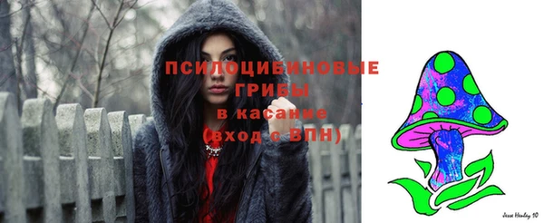 мет Протвино