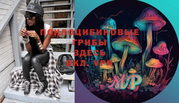 мет Протвино