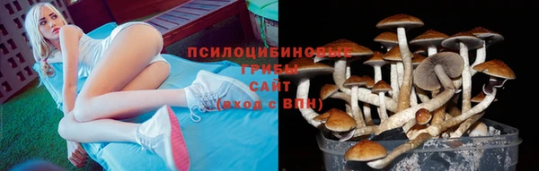 стафф Пролетарск