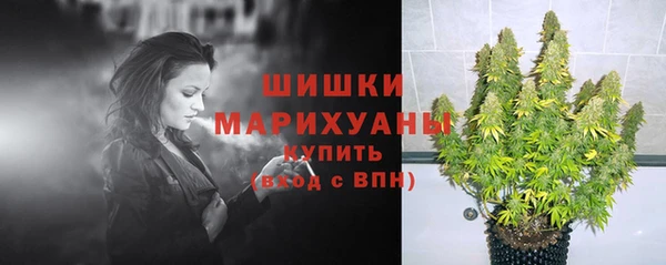 стафф Пролетарск