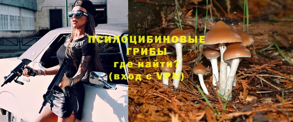 мдпв Приозерск
