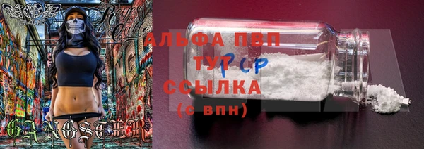 стафф Пролетарск