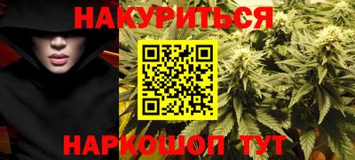 индика Усть-Джегута