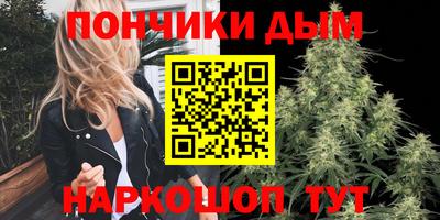 индика Усть-Джегута