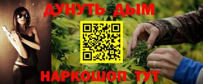 индика Усть-Джегута