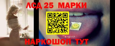 индика Усть-Джегута
