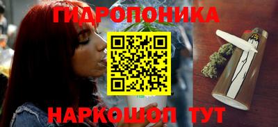 индика Усть-Джегута