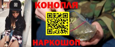 индика Усть-Джегута