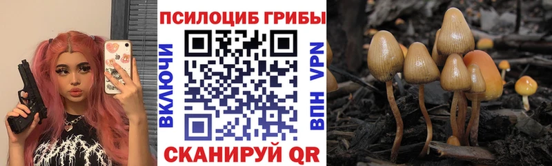 Псилоцибиновые грибы прущие грибы  Черемхово 