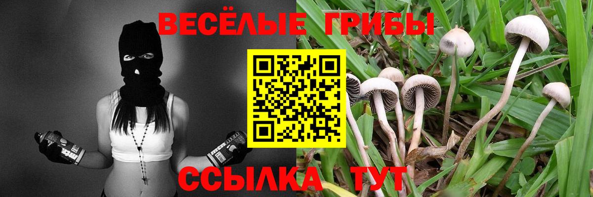 Псилоцибиновые грибы Magic Shrooms  Вход с VPN  купить  сайты  Черемхово  Галлюциногенные грибы Cubensis 